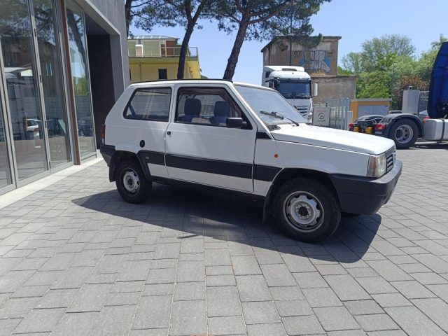 FIAT Panda usata 2