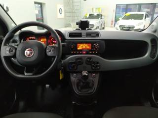 FIAT Panda usata, con Controllo trazione
