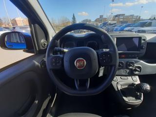 FIAT Panda Cross usata, con Controllo automatico clima