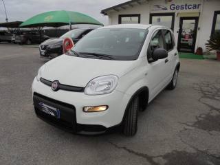 FIAT Panda usata, con Autoradio