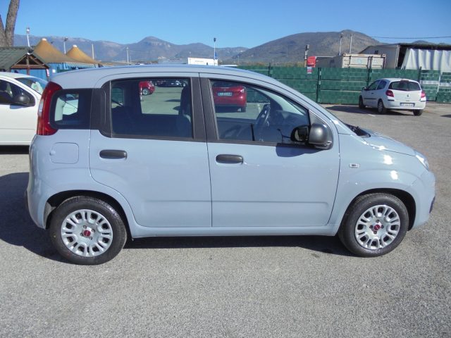 FIAT Panda usata 14