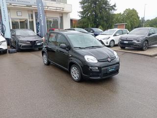 FIAT Panda usata, con Airbag Passeggero