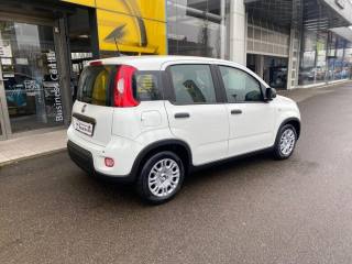 FIAT Panda usata, con Airbag Passeggero