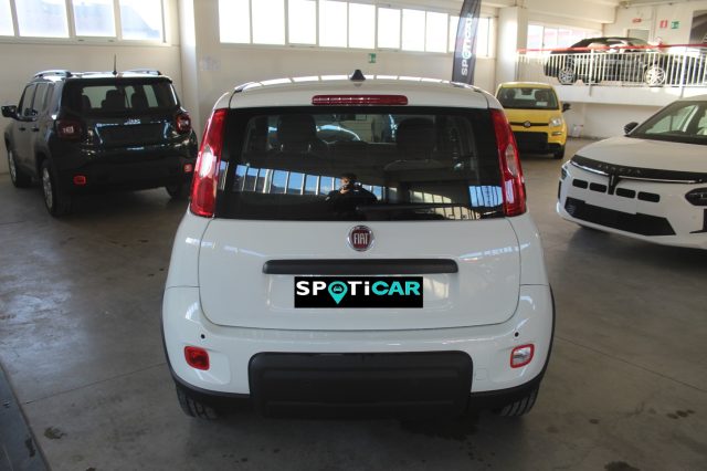 FIAT Panda usata, con Alzacristalli elettrici