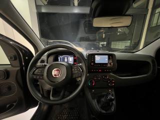 FIAT Panda usata, con USB