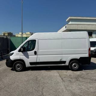 FIAT  usata 4