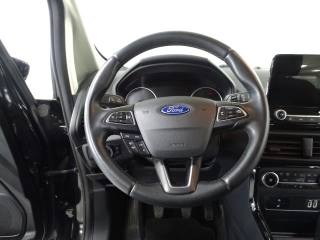FORD EcoSport usata, con Volante in pelle