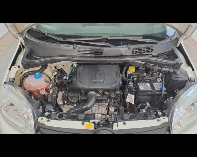 FIAT New Panda usata 21