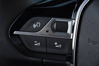 PEUGEOT 2008 usata, con Vetri oscurati