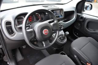 FIAT Panda usata, con Antifurto