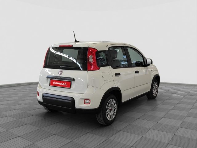FIAT Panda usata 4