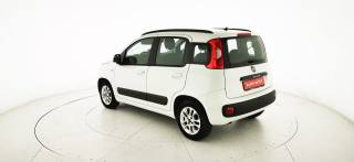 FIAT Panda usata 31