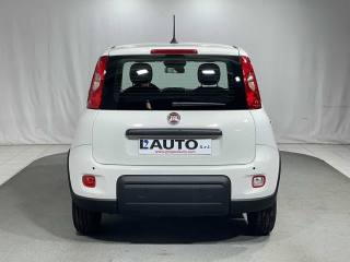 FIAT Panda usata, con Antifurto