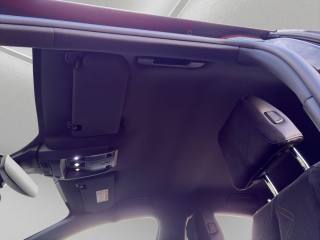 DS AUTOMOBILES DS 7 usata 20