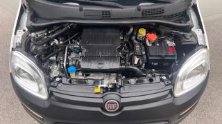 FIAT Panda usata 11