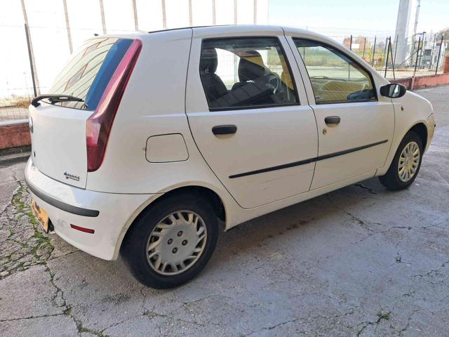 FIAT Punto usata, con Pneumatici quattro stagioni