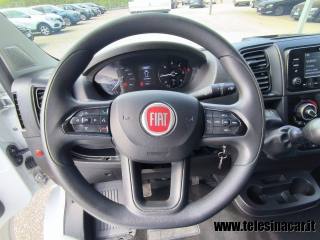 FIAT  usata 14