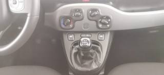 FIAT Panda usata, con Servosterzo