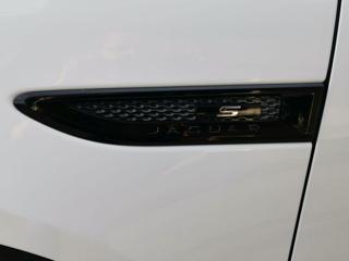 JAGUAR E-Pace usata, con Servosterzo