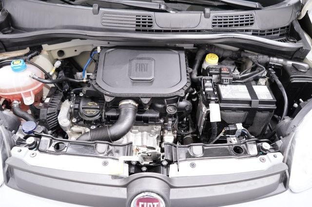 FIAT New Panda usata 24