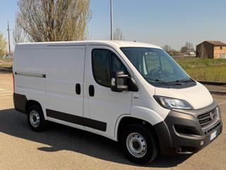 FIAT Ducato usata 15
