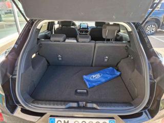 FORD Puma usata, con Fendinebbia