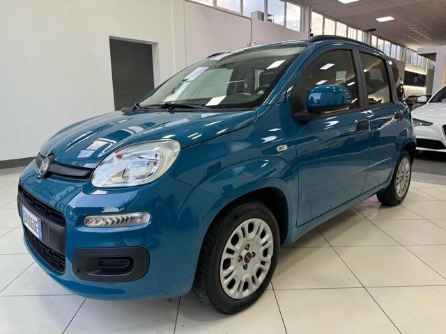 FIAT Panda usata 28