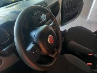 FIAT Panda usata, con Sensori di parcheggio posteriori