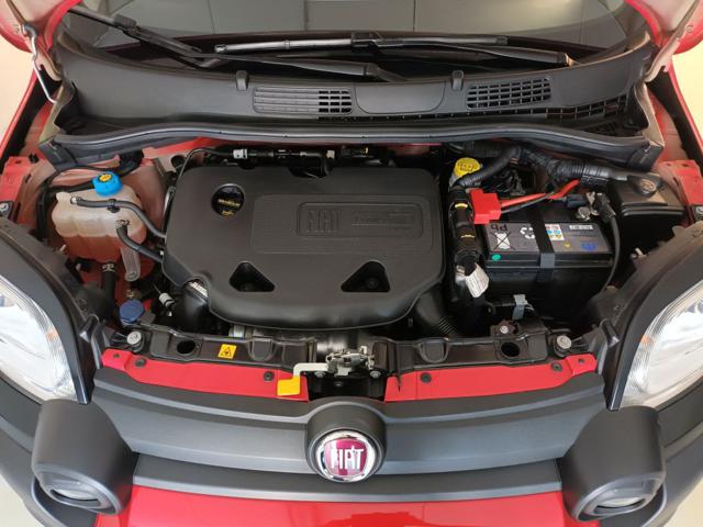 FIAT Panda Cross usata, con Cronologia tagliandi