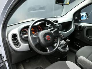 FIAT Panda usata, con Servosterzo