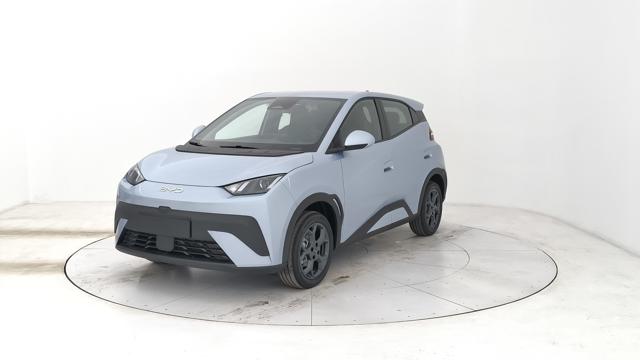 BYD Dolphin Surf usata, con ABS