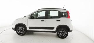 FIAT Panda usata 33