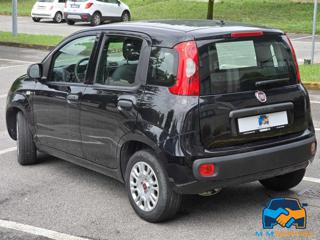 FIAT Panda usata, con Climatizzatore