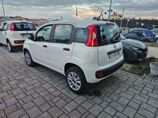 FIAT Panda usata, con Airbag Passeggero