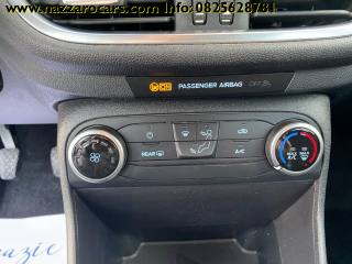 FORD Fiesta usata, con Fendinebbia