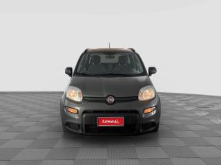 FIAT Panda usata 7