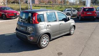 FIAT Panda usata, con Controllo vocale