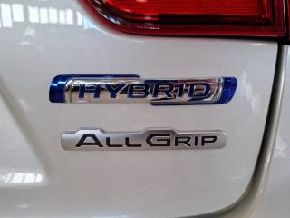 SUZUKI Ignis usata, con Fendinebbia