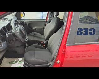 FIAT New Panda usata 25