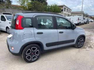 FIAT Panda usata 2