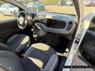 FIAT Panda usata 17