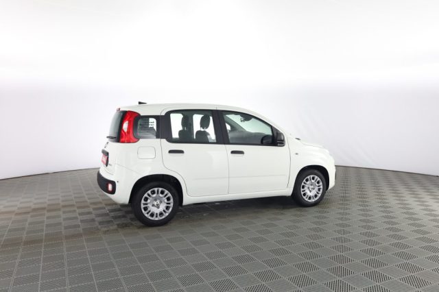 FIAT Panda usata 2