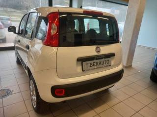 FIAT Panda usata, con Cerchi in lega