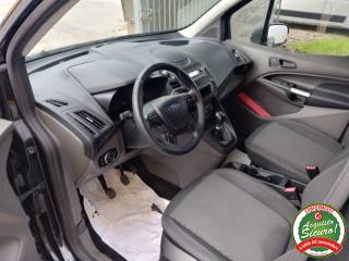 FORD Transit Connect usata, con Immobilizzatore elettronico