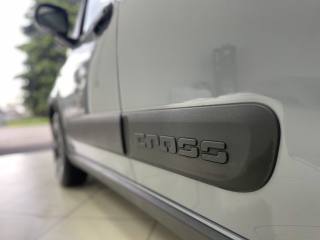 FIAT Panda Cross usata, con Schermo multifunzione interamente digitale
