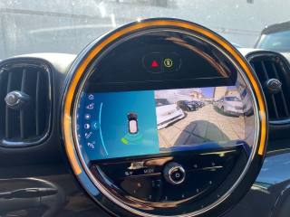 MINI Countryman usata, con Immobilizzatore elettronico