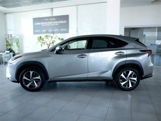 LEXUS NX 200t usata, con Antifurto