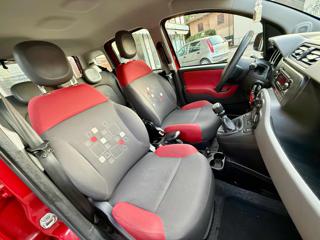 FIAT Panda usata 13