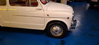 FIAT 850 usata 23