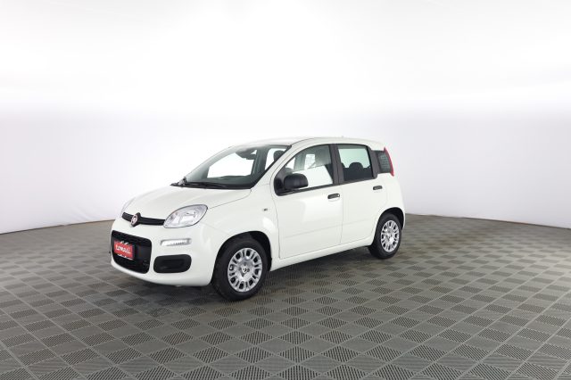 FIAT Panda usata 6